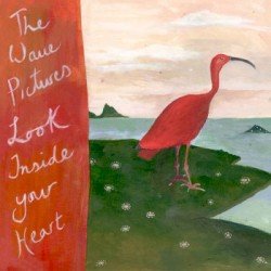 Pictures – Look Inside Your Heart Cover
