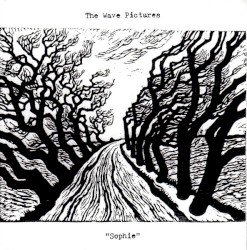 Pictures – Sophie Cover
