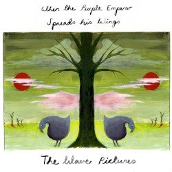 Pictures – When The Purple Emperor Spreads His Wings Cover