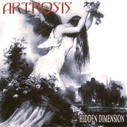 Hidden Dimension Cover