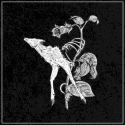 Suicide Forest – World of Decay Cover