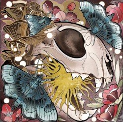 Waste a Saint – Hypercarnivore Cover