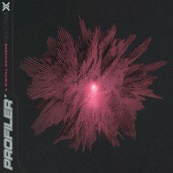 Profiler – A Digital Nowhere Cover