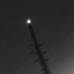 Altarage – Sol corrupto Cover