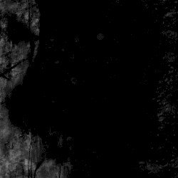 Reflections – Willow (instrumental) Cover
