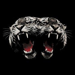 Royal Blood – Dead Company Cover