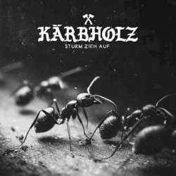 Kärbholz – Sturm zieh auf Cover