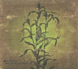 The Laughing Stalk Cover