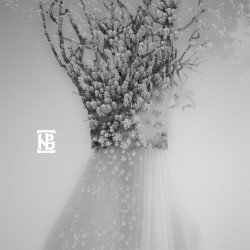Zău Cover