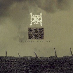 ’n crugu bradului Cover