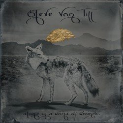 Alone In A World Of Wounds Cover